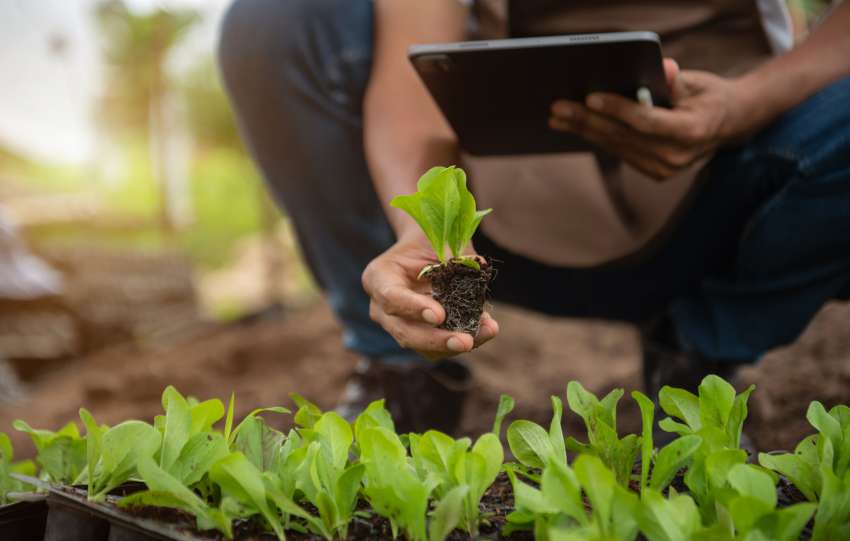 dobri sosedje na vrtu