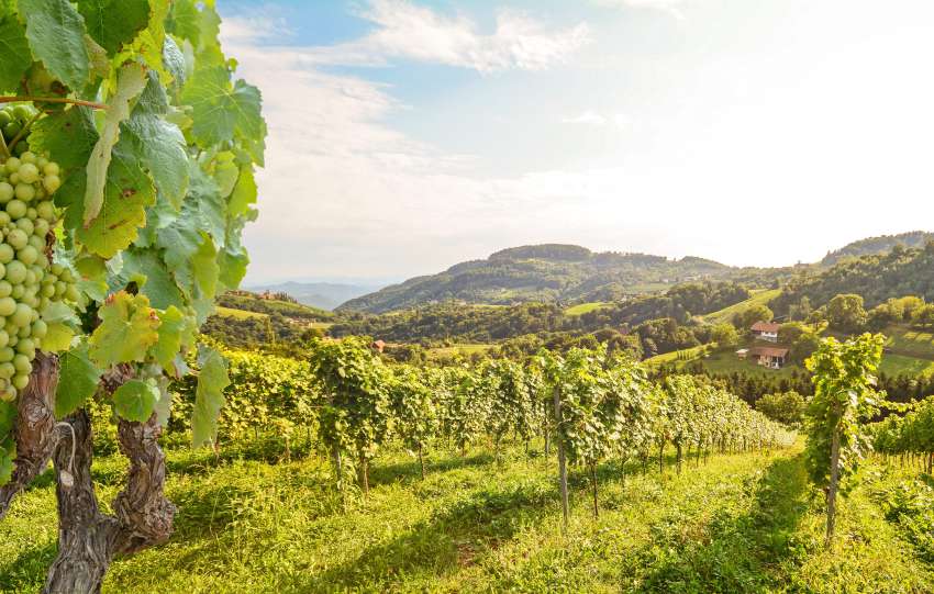 kdo sme praznovati dan državnosti