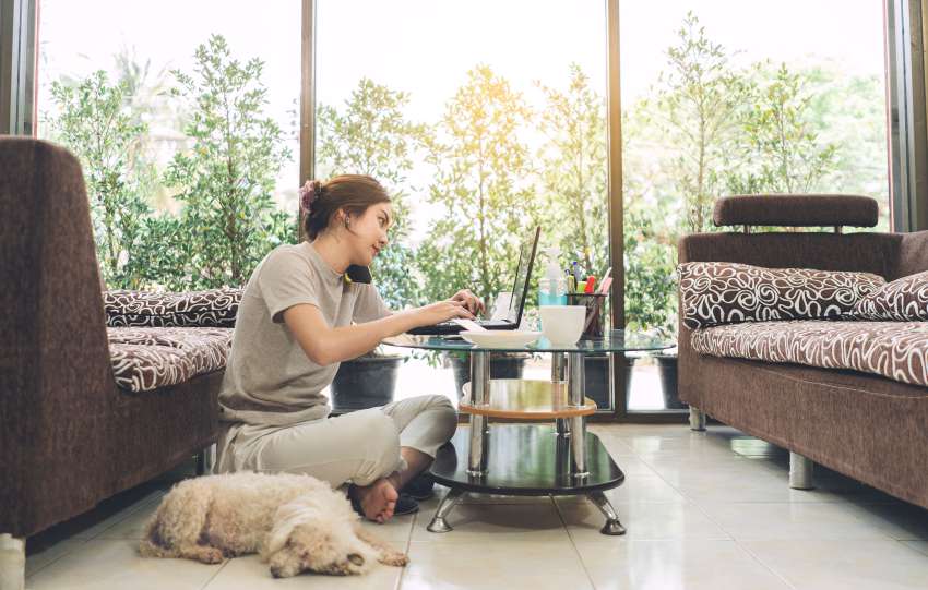 podjetja ki ponujajo delo od doma-min